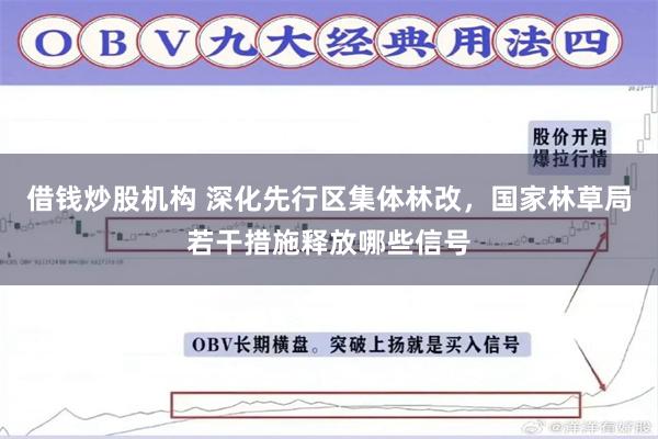 借钱炒股机构 深化先行区集体林改，国家林草局若干措施释放哪些信号