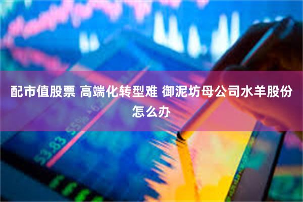 配市值股票 高端化转型难 御泥坊母公司水羊股份怎么办