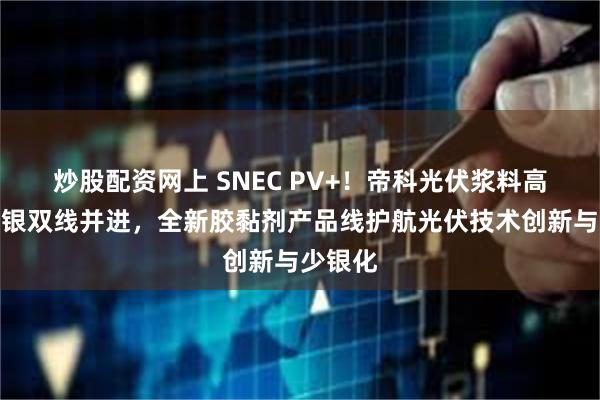 炒股配资网上 SNEC PV+！帝科光伏浆料高效、少银双线并进，全新胶黏剂产品线护航光伏技术创新与少银化
