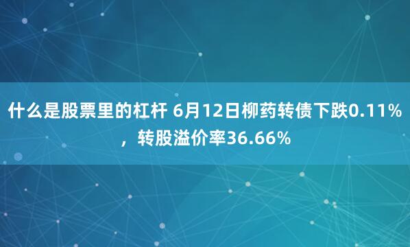 什么是股票里的杠杆 6月12日柳药转债下跌0.11%，转股溢价率36.66%