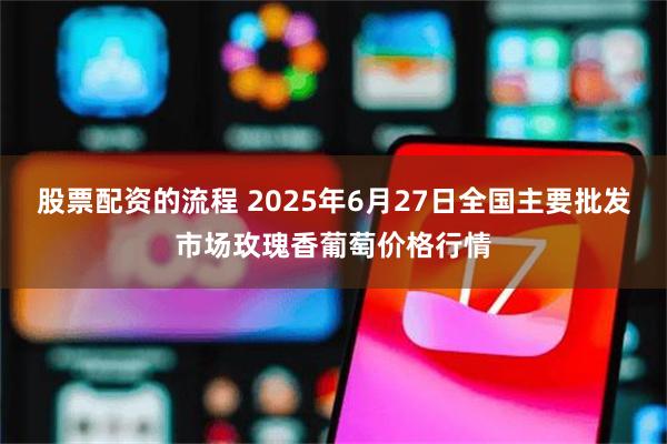 股票配资的流程 2025年6月27日全国主要批发市场玫瑰香葡萄价格行情