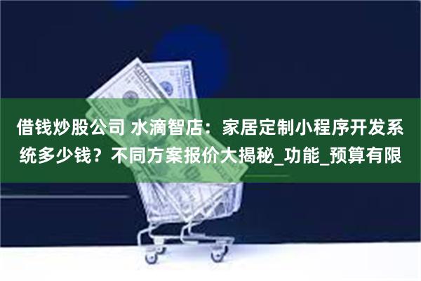 借钱炒股公司 水滴智店：家居定制小程序开发系统多少钱？不同方案报价大揭秘_功能_预算有限